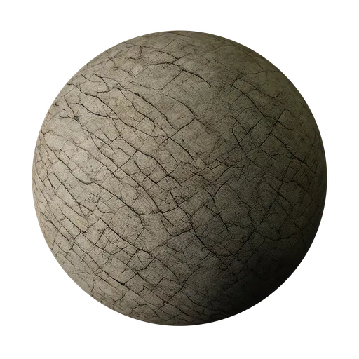 Elephant Skin