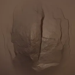 Rock Rugged Brush s2925 4