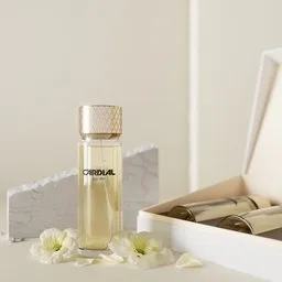 Luxury Perfume Bottle with Box