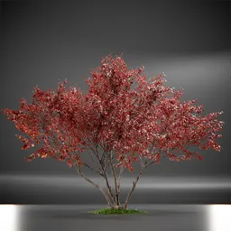 Tree Ruby Slippers Animated