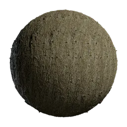 Broussonetia papyrifera Bark