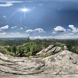 Bluesky Grass Forest Mountain