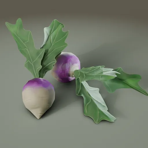 Stylized Turnip