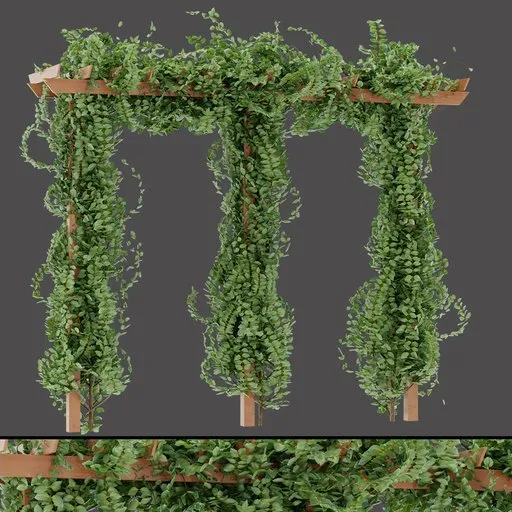 Vertical Climbing Trellis