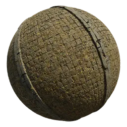 Scan stone road leaf