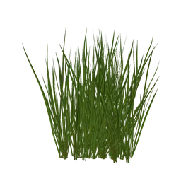 Realistic 3D grass model asset for Blender, ideal for virtual landscaping and environmental design.