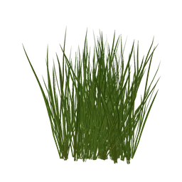 Grass Alpha Plane 1