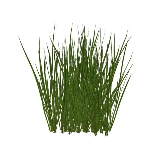 Realistic 3D grass model asset for Blender, ideal for virtual landscaping and environmental design.