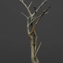 Realistic Blender 3D model of a bare tree with detailed bark texture, suitable for digital environments.