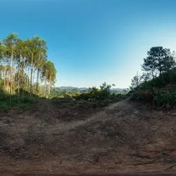 The top of the hill at sunset