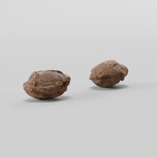 Fossil Stone