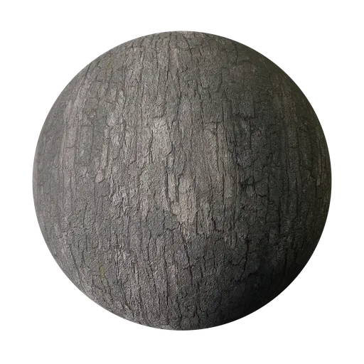 Tree Bark