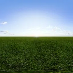Green grass cloudy blue sky pure sky