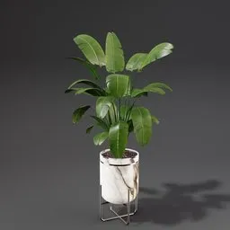 Realistic 3D model of lush Strelitzia plant in a modern pot, perfect for interior visualization in Blender.