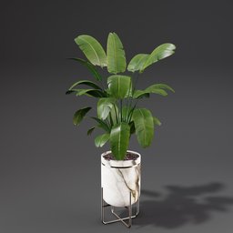 "Strelitzia Set 02: Indoor Bird of Paradise Plant in Vase with White Marble Texture and Metal Neck Rings, 3D Model Rendered with Lumion and Redshift Houdini."
