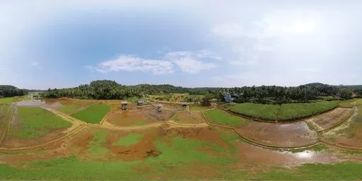 Paddy Field Rural Aerial Panorama