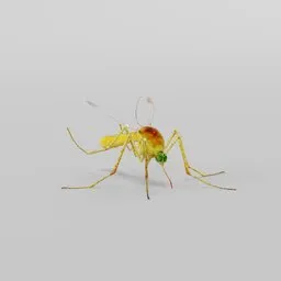 Detailed 3D mosquito model for Blender, high-resolution textures, accurate anatomy for entomology projects.