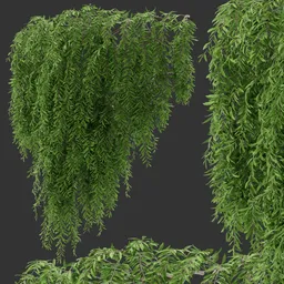 Simple Wall Hanging Plant