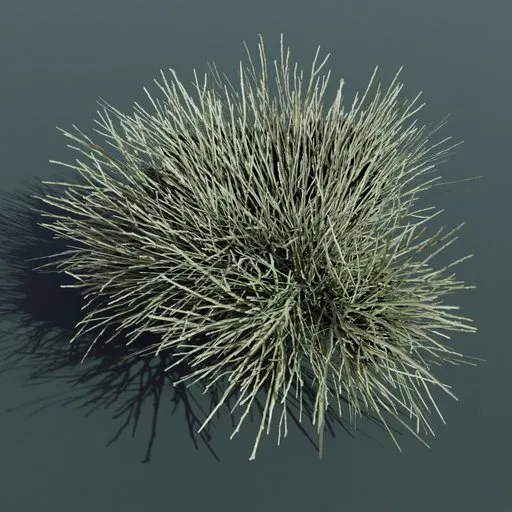 Realistic 3D shrub model for Blender, ideal for architectural visualization and gaming environments.