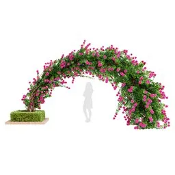 Climbing Roses Garden Bow Grow Pink