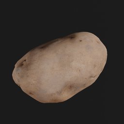 "High-resolution Blender 3D model of a potato tuber on black surface. Perfect for food-related projects, scientific illustrations, and game assets. Created with love from Bishkek."