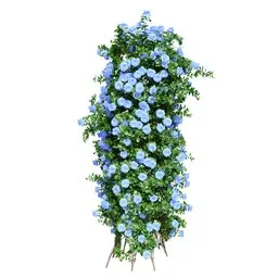 Climbing Roses Blue