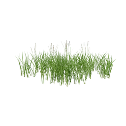 Wild Grass Low Poly for Scatter