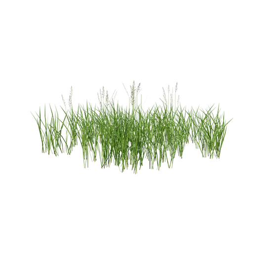 Wild Grass Low Poly for Scatter