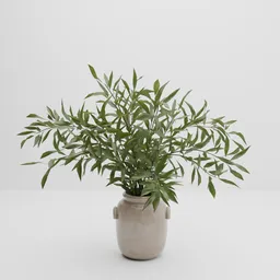 Eucalyptus Vase Decor