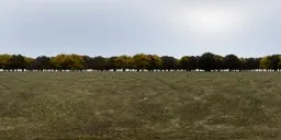 Serene 16K HDR image of a grassy field with grazing sheep, treeline horizon, blue sky, and warm sunlight for scene lighting.