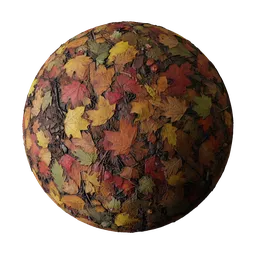 Autumn Forest Foliage