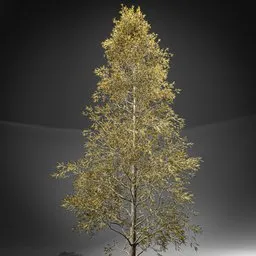 Highly detailed 3D pine tree model compatible with Blender EEVEE and Cycles rendering engines.
