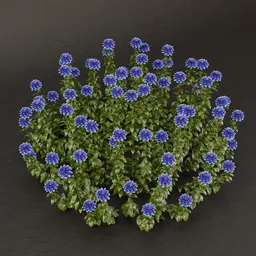 SJ-Harmony Garden Cluster