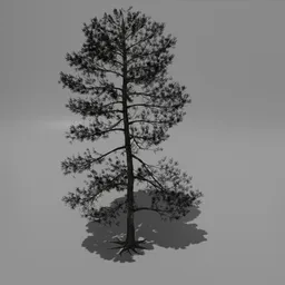 Realistic Blender 3D model of a pine tree with detailed textures and shadow, suitable for landscape rendering.