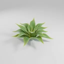 "Small agave with detailed, procedural textures for Blender 3D. Perfect for botanical, agricultural, gardening, and architectural projects. Rendered in Redshift and inspired by Hasegawa Tōhaku and Ivan Lacković Croata."