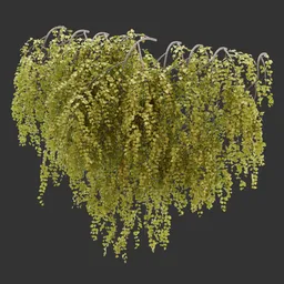 Wall Hanging Autumn Plant AQ