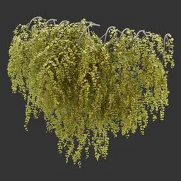 Wall Hanging Autumn Plant