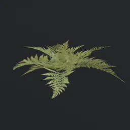 Highly detailed 3D fern model, optimized for Blender, with realistic PBR textures, suitable for game environments.