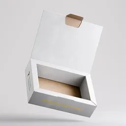 Rigged Large Tuck Top Mailer Box