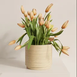 Soft Apricot Tulip Pot