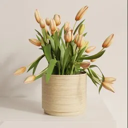 Soft Apricot Tulip Pot