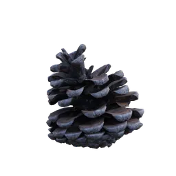 High-detail 3D pinecone model with realistic textures, perfect for Blender 3D rendering and animation.