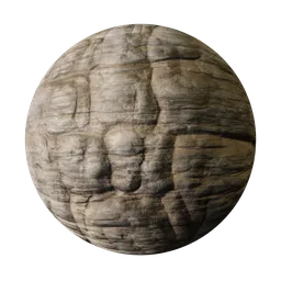 Mud Rock