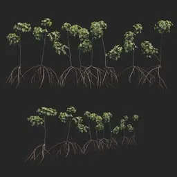 Mangrove Plant + Geometry Nodes + Animation