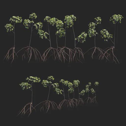 Mangrove Plant + Geometry Nodes + Animation