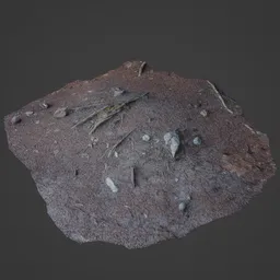 Forest Ground Photoscan