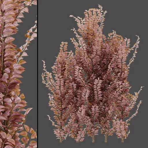 Pink Artistic Branches