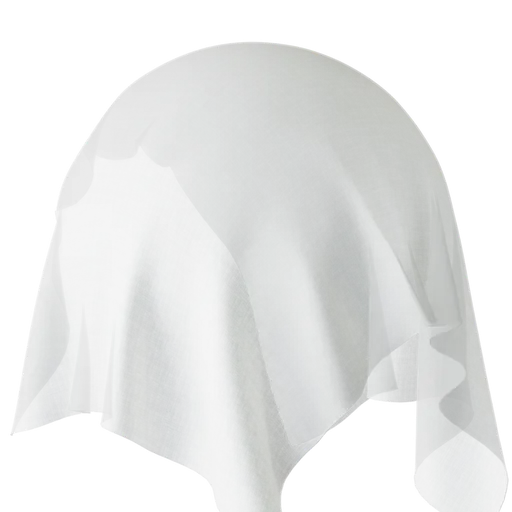 Plain White Sheer