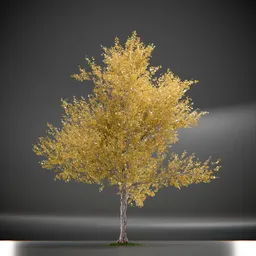Tree Princeton Sentry Animated