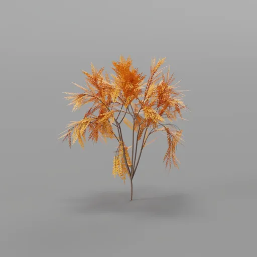 Bush